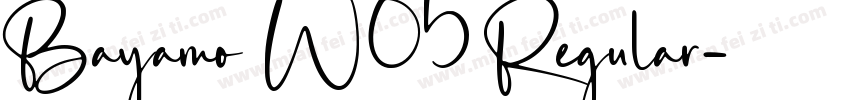 Bayamo W05 Regular字体转换